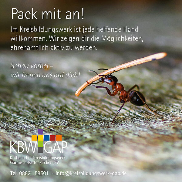 Plakatwerbung Ehrenamt "Pack an!"