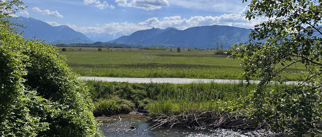 Blick auf eine große Wiese im Hintergrund Berge, vorne läuft ein Fluß vorbei