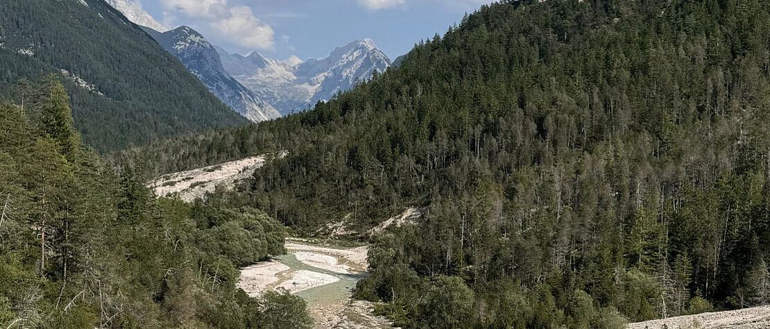 die Isarquellen rechts und links in einem aufsteigenden Wald eingebettet im Hintergrund entfernt ein Bergmassiv