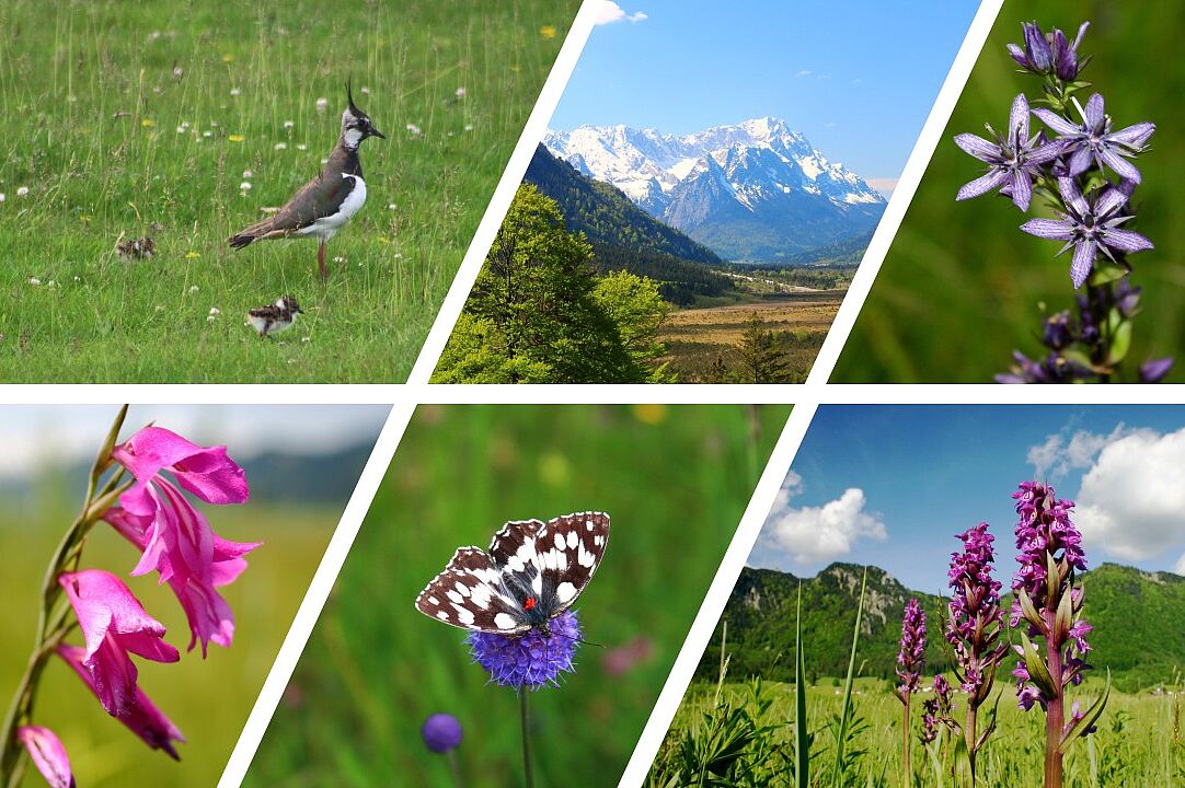 Der Eigenwert der Natur 15.10.2026