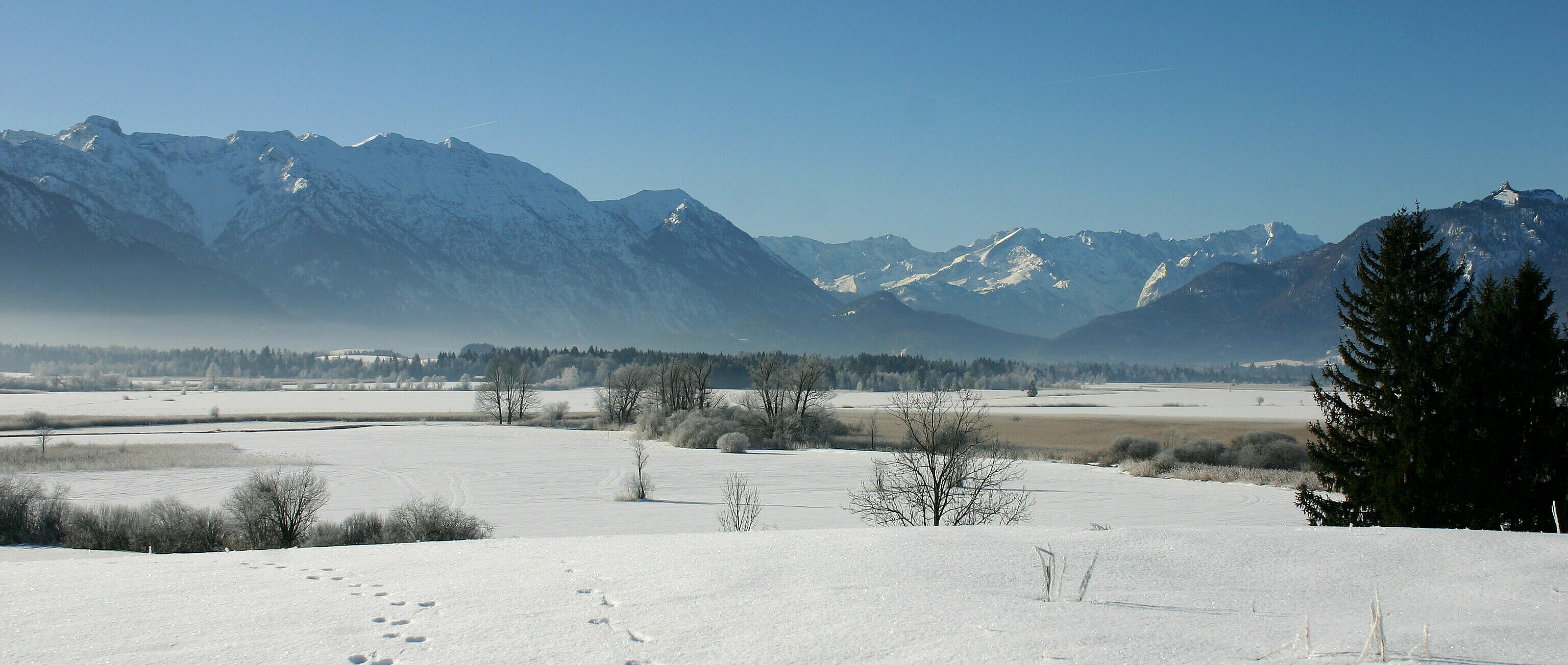 zugeschneite Streuwiese im Murnauer Moos