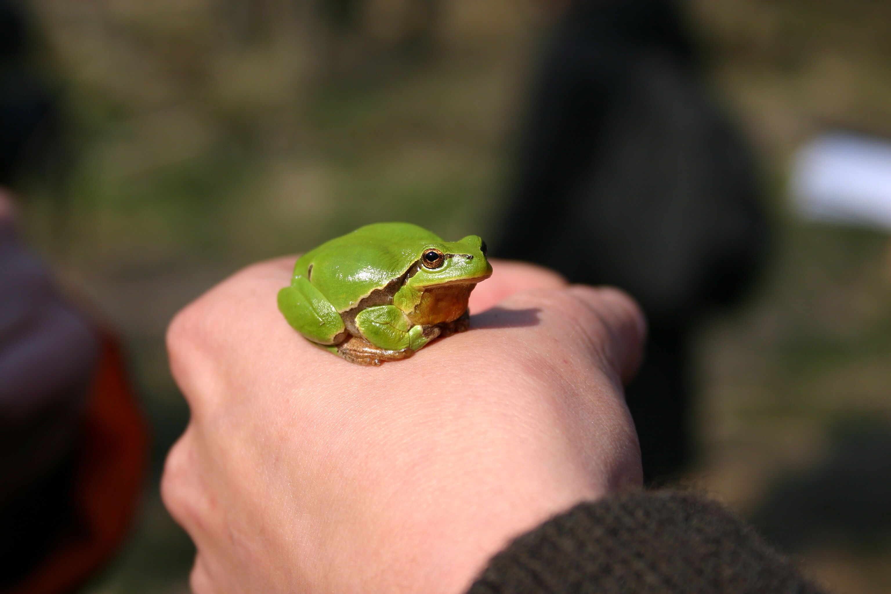 Abenteuer Moor 25.06.2025
